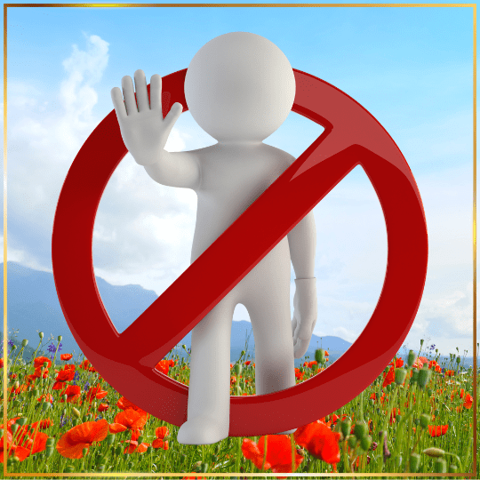 Granice odpowiedzialności w&nbsp;pracy integracyjno-psychotronicznej