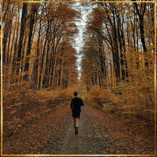 Człowiek jako całość – holistyczne spojrzenie na&nbsp;zdrowie i&nbsp;dobrostan w&nbsp;naturopatii