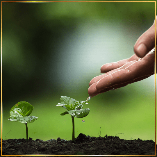 Granice odpowiedzialności naturopaty – gdzie kończy się wsparcie, a&nbsp;zaczyna uczciwość